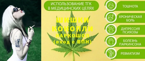 индика Вязники