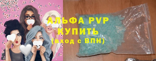 индика Вязники